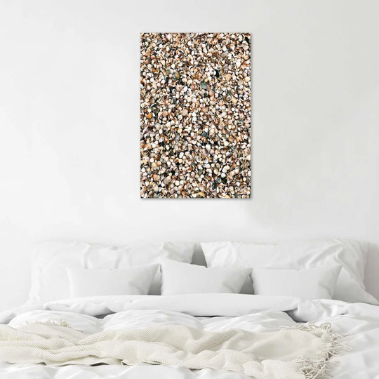 Poster, Shells Abstraction