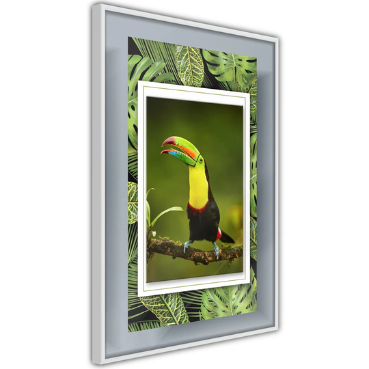 Poster - Toucan In The Frame