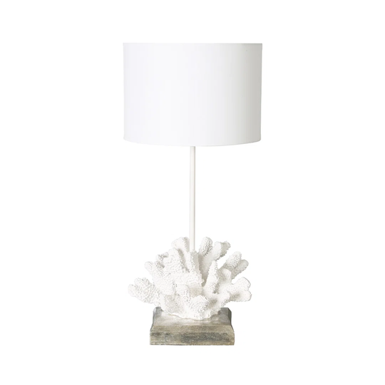 White Shell Table Lamp With White Shade