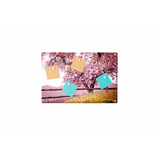 Tree Magnetic Wall Mounted Photo Memo Board