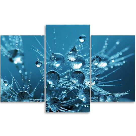Canvas Print Dandelion Dew Turquoise Nature