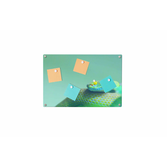 Snake Magnetic Wall Mounted Photo Memo Board