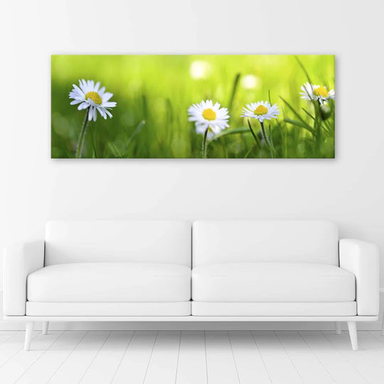 Canvas Print Daisies Green Grass