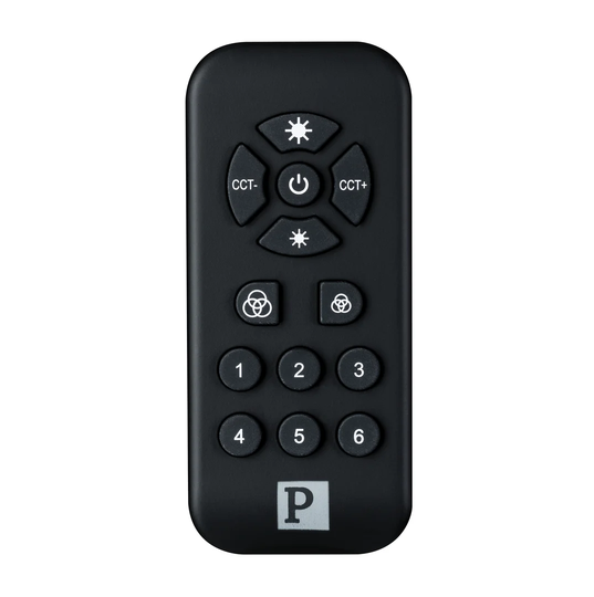 Wall Mounted Remote