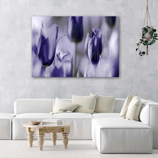 Canvas Print Tulip Flower Purple