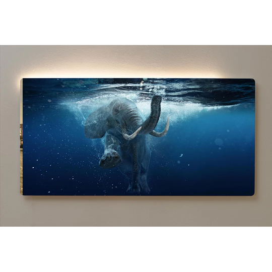 Backlight Motif Wall Picture Elephant Magnetic Cork Board