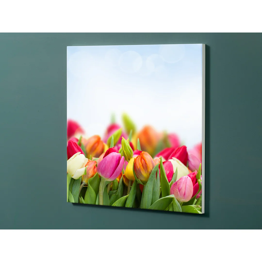 Notiz Motive Tulips Magnetic Wall Mounted Cork Board