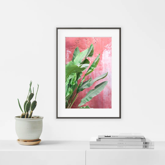 Banana Tree on a Red Wall - Picture Frame Photograph Print on Paper