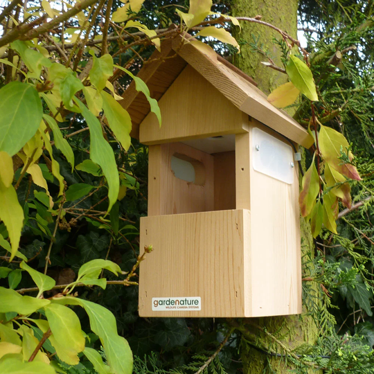 Terron Mounted Bird House