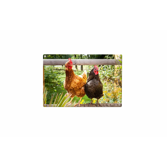 Chickens Magnetic Wall Mounted Photo Memo Board