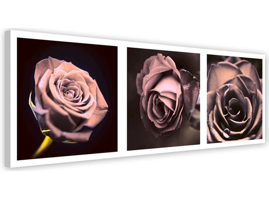 Canvas Print Rose Panorama