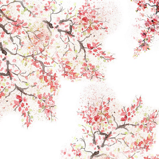 Joosua 3.6m x 2.5m Matte Wallpaper Roll