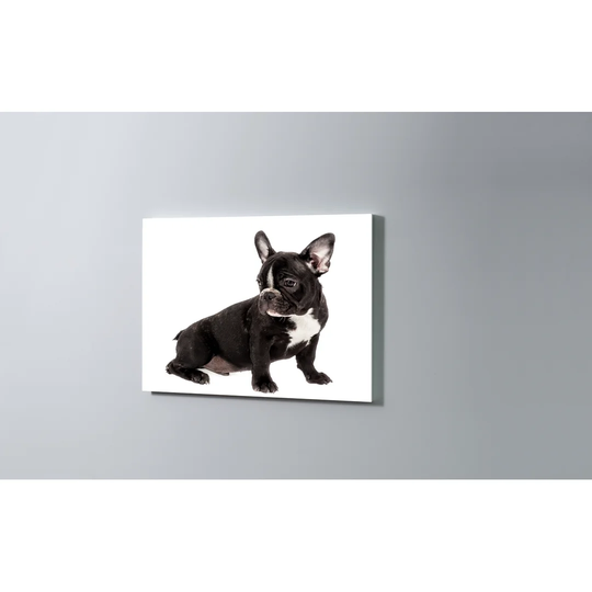 French Bulldog Magnetic Wall Mounted Cork Board