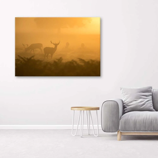Canvas Print Deer In The Fog