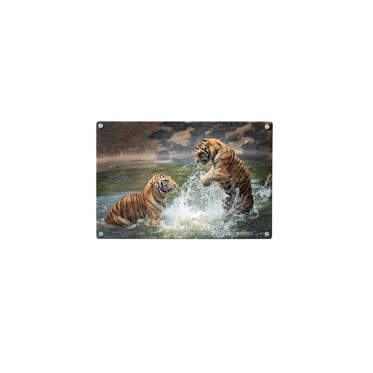 Tiger Magnetic Wall Mounted Photo Memo Board