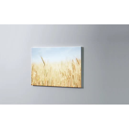 Grain Field Magnetic Wall Mounted Cork Board