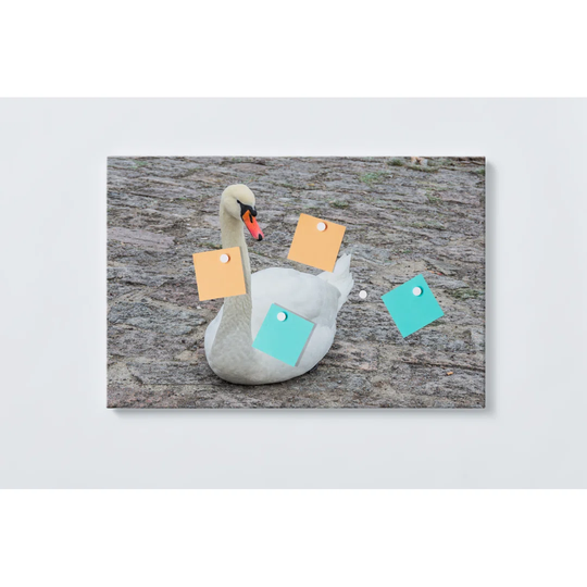 Swan Magnetic Wall Mounted Cork Board