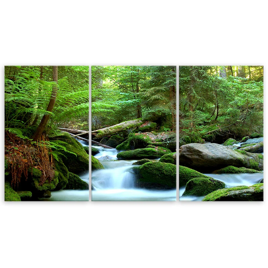 Canvas Print Forest Rock Waterfall