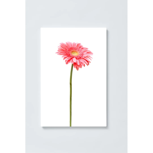 Flower Motif Magnetic Wall Mounted Cork Board