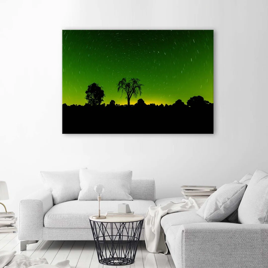 Canvas Print Aurora Borealis Green Forest