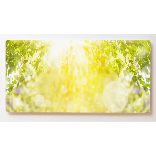 Backlight Motif Wall Picture Sunrise Trees Magnetic Cork Board