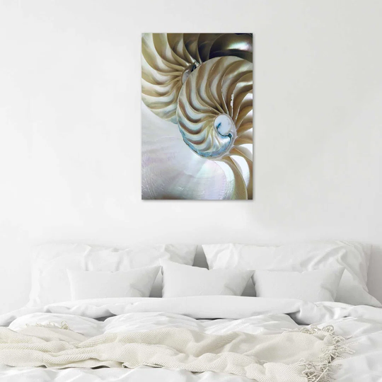 Poster, Inside Of A Shell