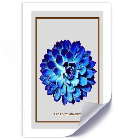 Poster, Blue Miniature Succulent