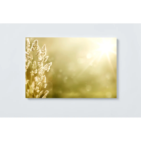 Sunrise Magnetic Wall Mounted Cork Board