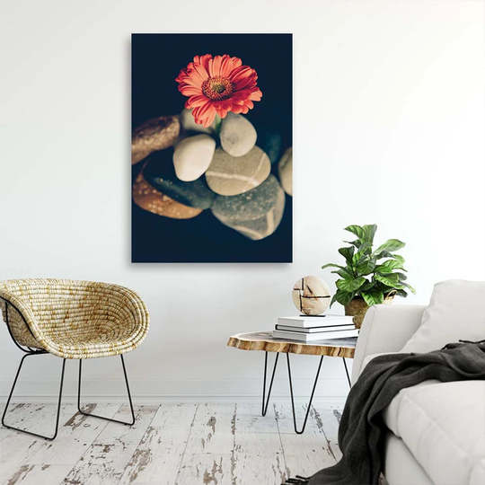 Canvas Print Gerbera Flowers Stones