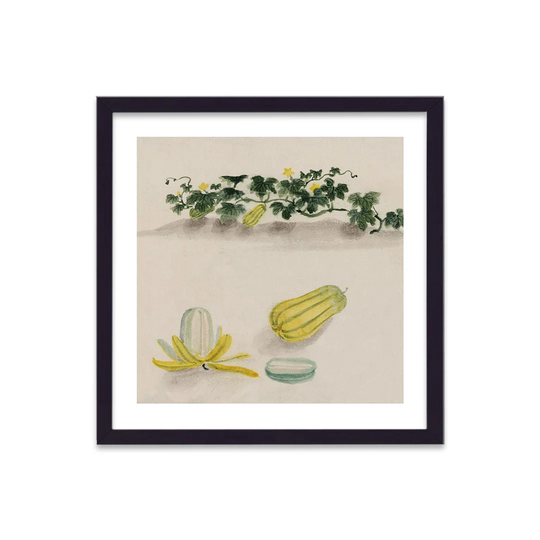 Vintage Japanese Vegetable Squash2 by Vouvart - Picture Frame Graphic Art