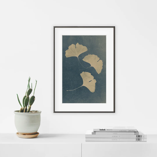 Ginko 1 - Picture Frame Photograph Print on Paper