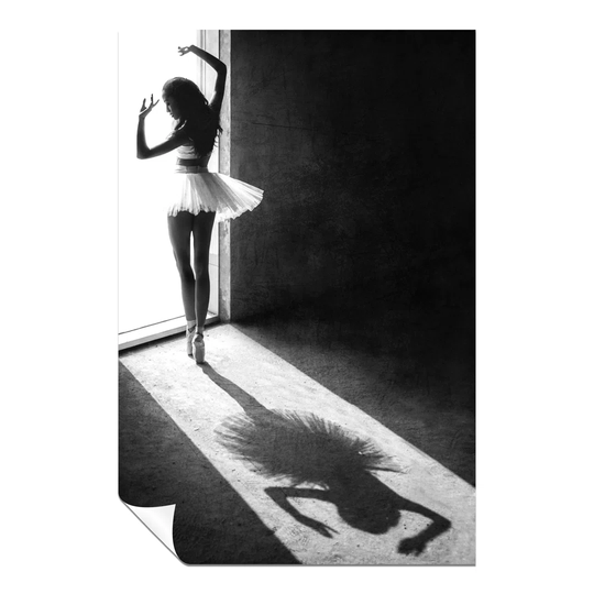 Panther Print Fine Art Prints Ballerina Shadow Dance At The Window Artistic Unframed Poster, Pictures For Home Walls, Bedroom, Living Room & Bathroom