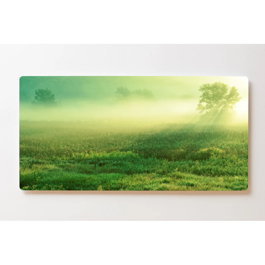 Backlight Motive Wall Picture Meadow Morning Dew Magnetic Cork Board