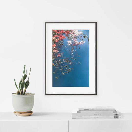 Bougainvillier N°2 - Picture Frame Photograph Print on Paper