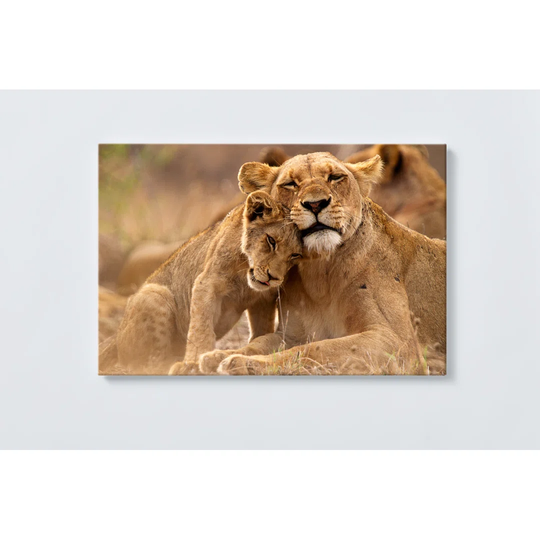 Lions Magnetic Wall Mounted Cork Board