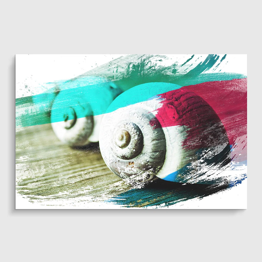 'Snail Shells' Graphic Art Print Poster
