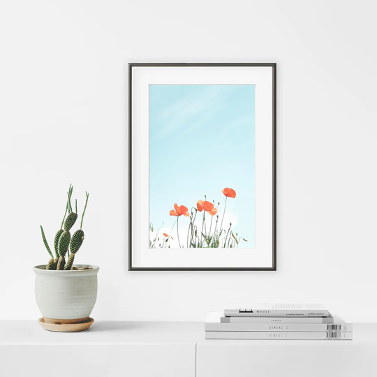 Poppy Flowers - Picture Frame Photograph Print on Paper