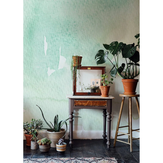 Amerissa 2.5m x 2.5m Matte Wallpaper Roll