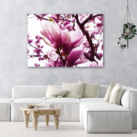 Canvas Print Magnolia Tree Pink