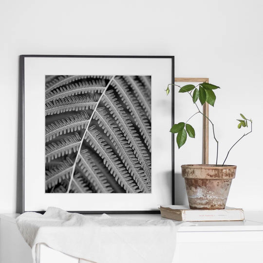 Botanic N°2 - Picture Frame Photograph Print on Paper