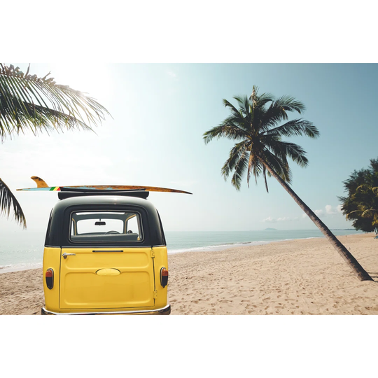 The Tropical Beach