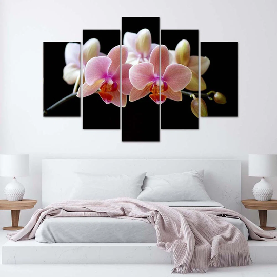 Canvas Print Pink Orchid