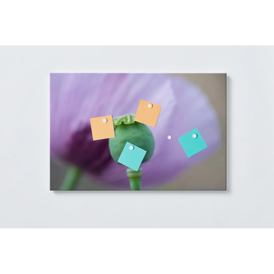 Poppy Flower Magnetic Wall Mounted Cork Board