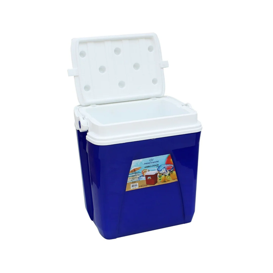 24 L Picnic Cooler