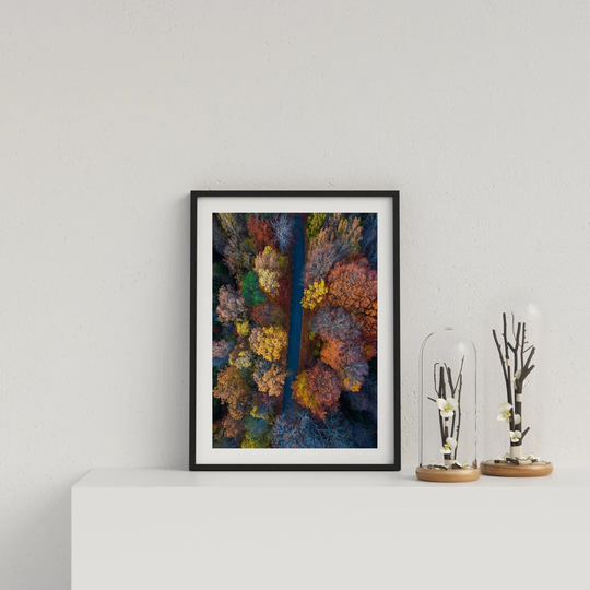 Autumnal Trees Aerial View by Vouvart - Picture Frame Graphic Art
