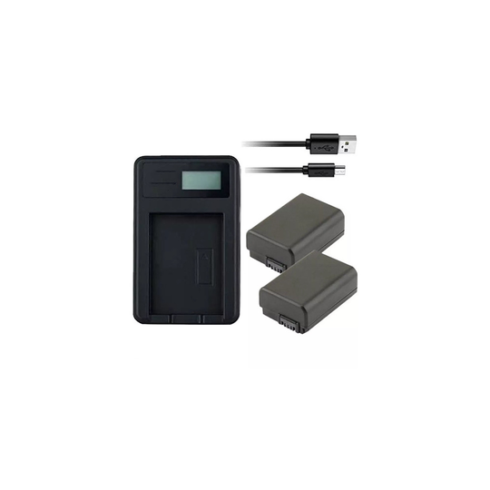 USB Battery Charger and 2 Batteries For Sony NEX-3N Digital Camera