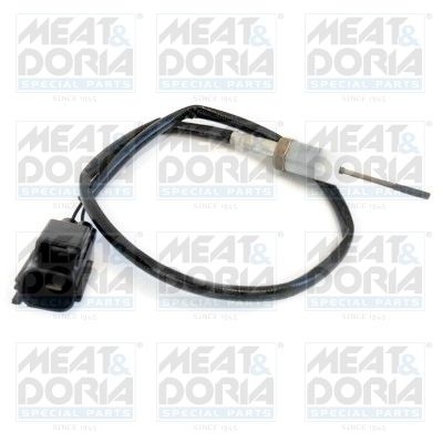 Sensor, exhaust gas temperature 12086
