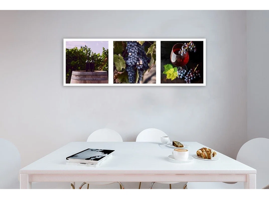 Canvas Print Wine Grapes Vineyard