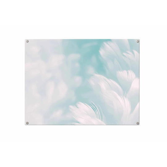 Feathers Magnetic Wall Mounted Photo Memo Board