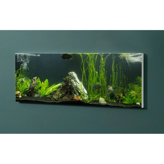 Notiz Motive Aquarium Magnetic Wall Mounted Cork Board